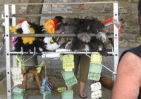 img_0996.jpg
