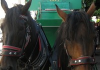 img_1242.jpg