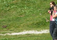 img_1441.jpg