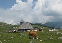 img_1455.jpg