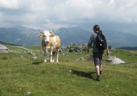 img_1461.jpg