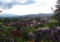 img_3137.jpg