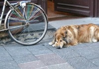img_3209.jpg
