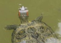 Never Grow Up!, img_3910.jpg