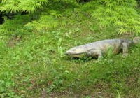img_3939.jpg