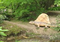 img_3942.jpg