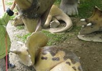 img_3947.jpg
