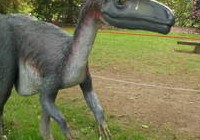 Never Grow Up!, img_3959.jpg