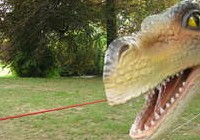Never Grow Up!, img_3964.jpg