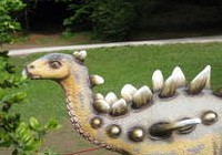 img_3981.jpg