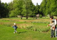 img_3996.jpg