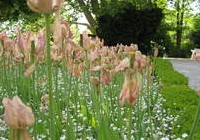 img_4008.jpg